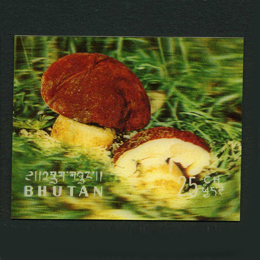 Stamps
with the theme 3-D Stamps
'
Stamps
with the theme 3-D Stamps
'