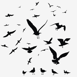 Stamps
with the theme Birds
'
Stamps
with the theme Birds
'