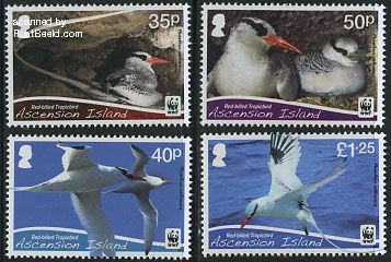 Ascension 2011, WWF, Birds 4v, MNH