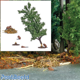 Beaver Lodge