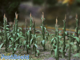 Corn Stalks (30pcs)