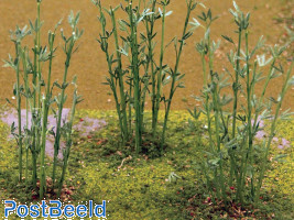 Bamboo 9cm-12cm (12pcs)
