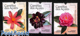 Camelias 3v