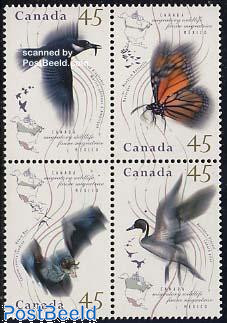 Flying animals 4v [+] Aune migratrice