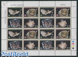 WWF, Bats m/s