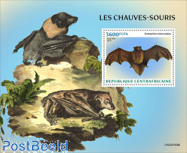 Bats