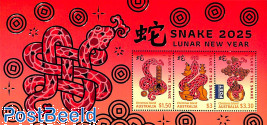 Year of the snake 3v m/s