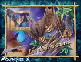 Bats