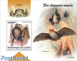 Bats