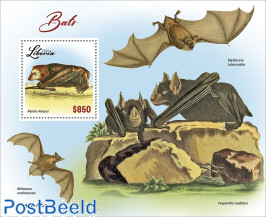 Bats