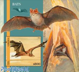 Bats