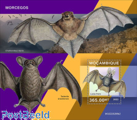 Bats