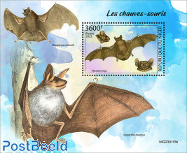 Bats