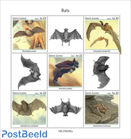 Bats