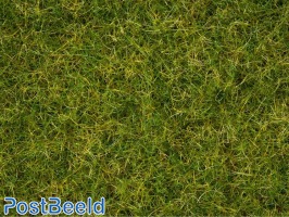 Master Grass Blend ~ Summer Meadow 2,5-6mm (50g)