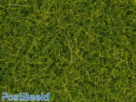Wild Grass XL ~ Light Green 12mm (40g)