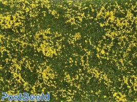 Ground Cover Foliage ~ Meadow Yellow 12x18cm