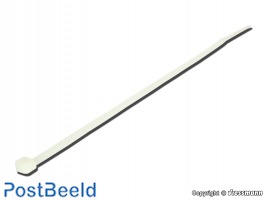 Cable Ties 2,5x100mm (100pcs)