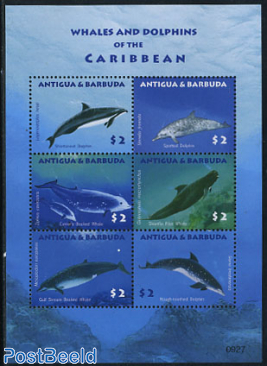 Whales & dolphins 6v m/s