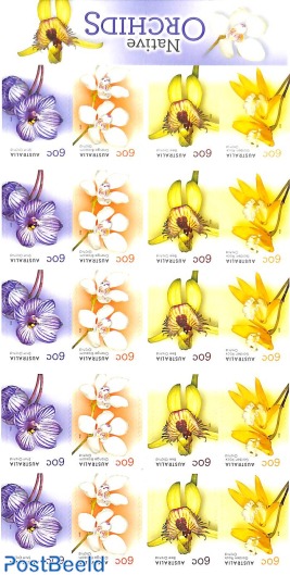 Native Orchids foil booklet