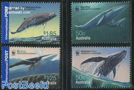 WWF, Whales 4v