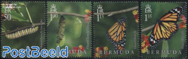 Monarch Butterfly 4v