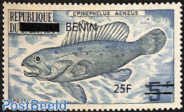 epinephelus aeneus, fish, overprint