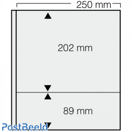 5 pages Safe dual Blanco, 250x202+89mm