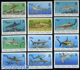 Definitives, sharks 12v