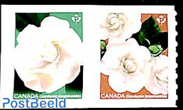 Gardenia 2v coil s-a
