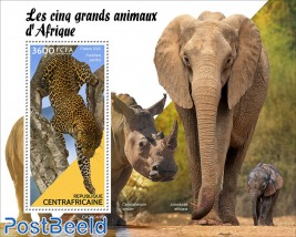 The big five of Africa