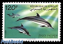 Dolphin 1v