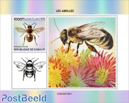 Bees (Anthophora furcata)