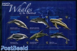 Whales 6v m/s