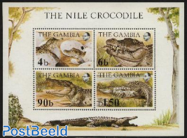Nile crocodile s/s