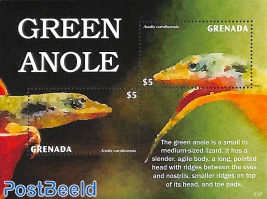 Green Anole s/s