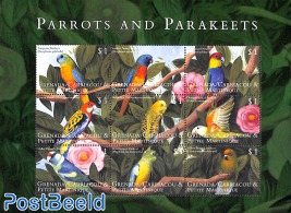 Parrot & parakeets 9v m/s, Turquoise parakeet