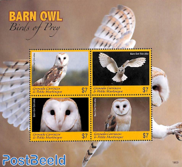 Barn Owl 4v m/s