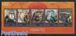 Primates 5v m/s