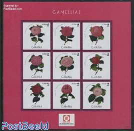 Camellias , Stamp expo 9v m/s