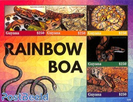 Rainbow boa 5v m/s