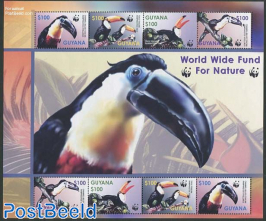 WWF, Toucan m/s