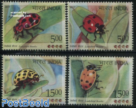 Ladybird Beetle 4v