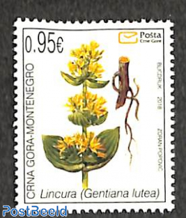 Flora, Gentiana lutea 1v