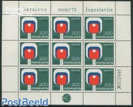 Table tennis minisheet