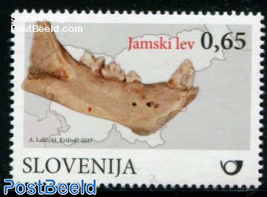 Cave Lion Fossil 1v