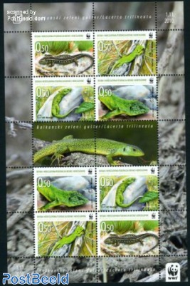 WWF, Green Balkan lizard m/s