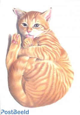 Francien van Westering, cat