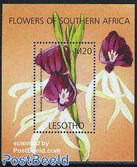 South African flowers s/s