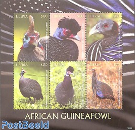 African Guinea Fowl 6v m/s